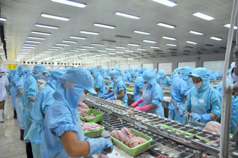 Fish Factory – globalctls.com